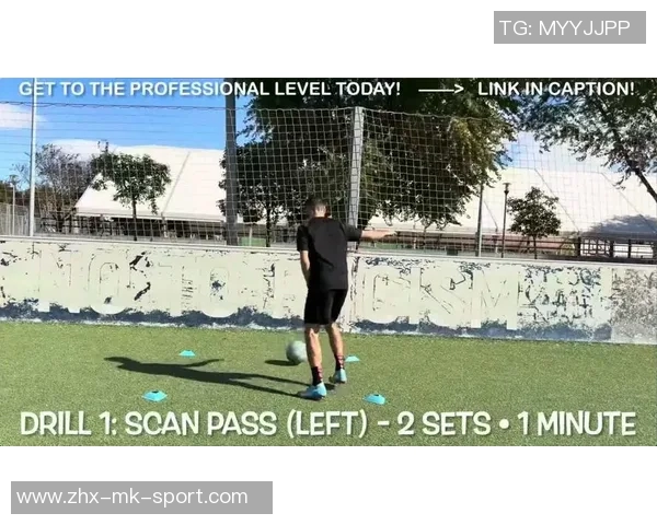 全面解析足球基础知识助你成为足球小达人